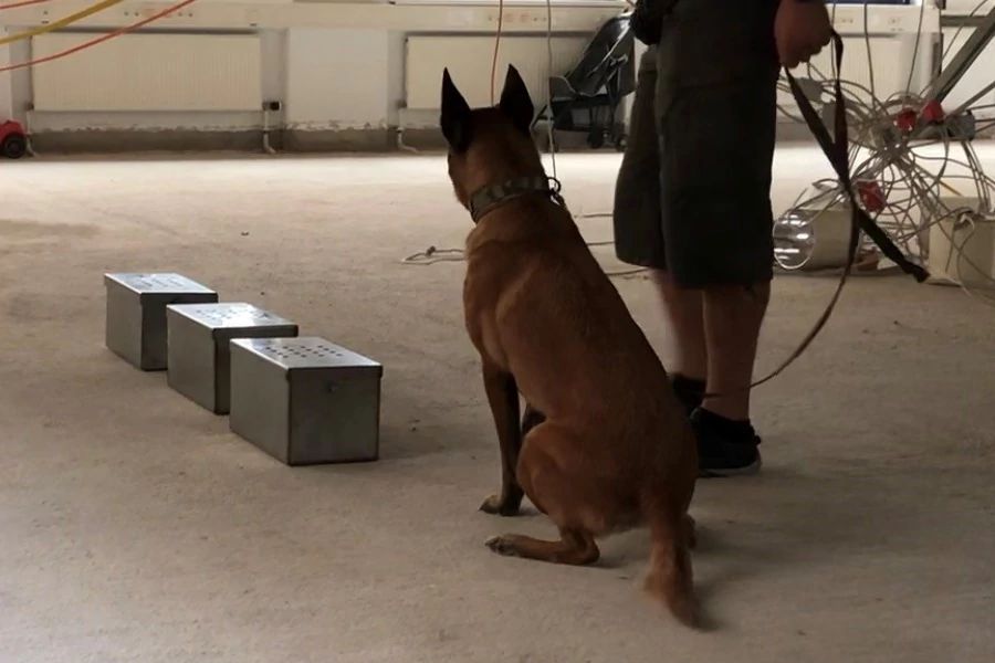 Seminare zur Spürhundeausbildung